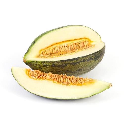 Melon Piel de sapo stk