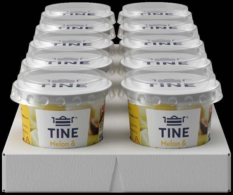 Tine Yoghurt Melon 10x180gr(x)